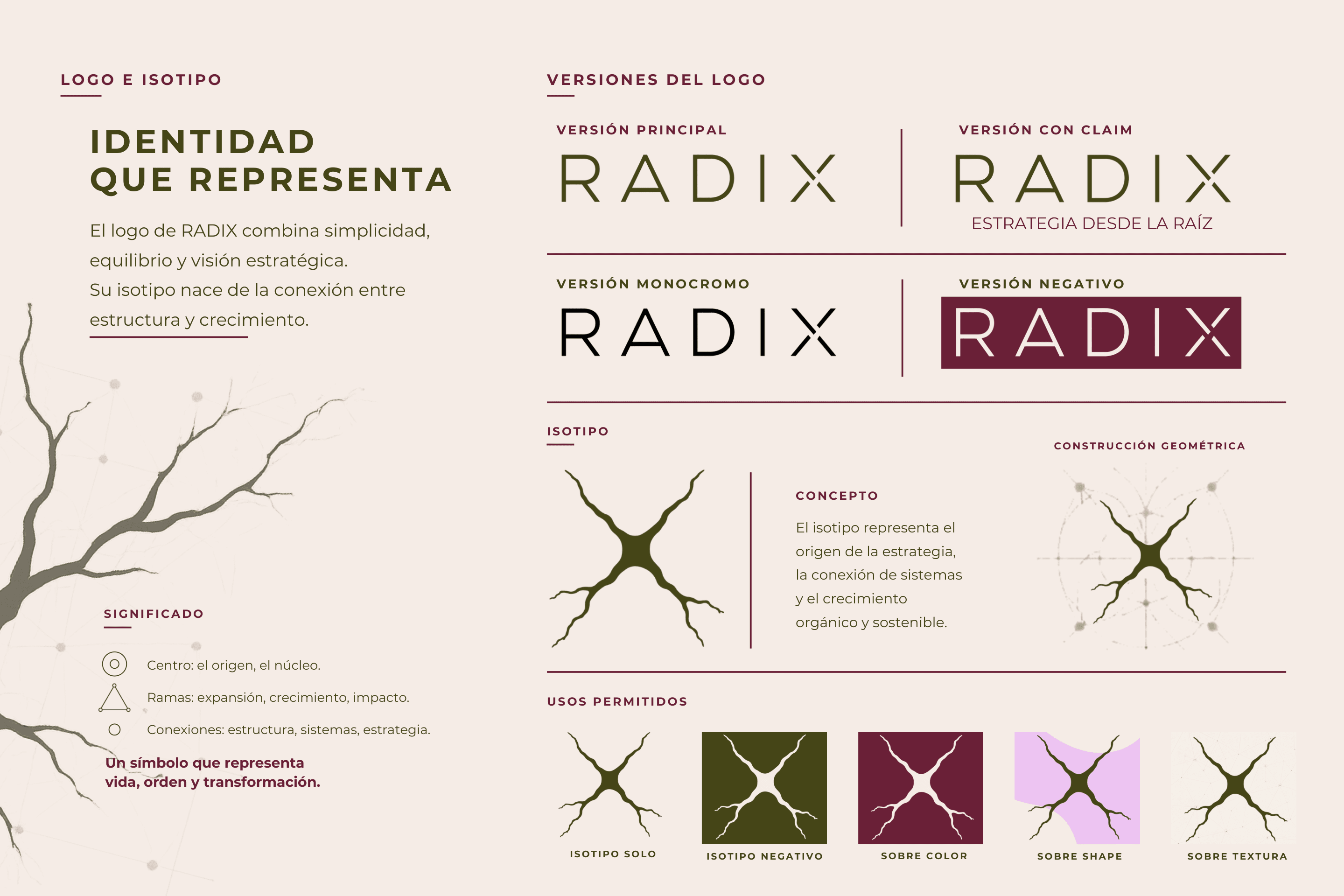 Identidad de marca de RADIX